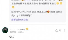 jd上单最新爆料,神秘新英雄即将登场，技能解析与玩法前瞻